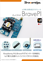 BravePI